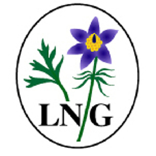 2. Gesamtvorstand des LNG&nbsp;
