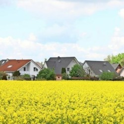 Wind und Regen ärgern nicht jeden: Hoffnung auf gute Ernte in Wolfsburg      