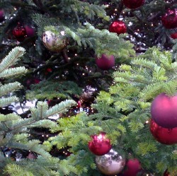 2. Weihnachtsfeiertag