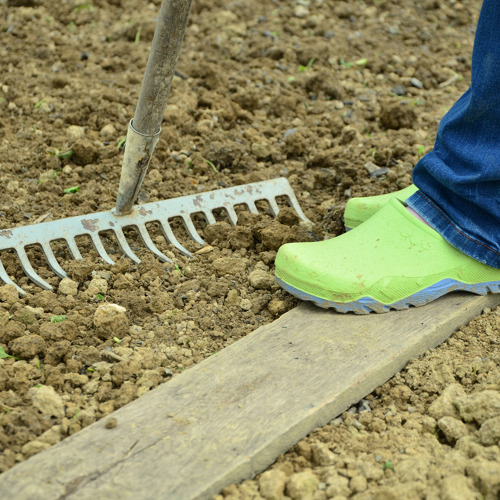 Gartentipps im Mai